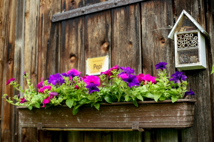 Pepi’s Apartment in Hallstatt – Austria | accommodation for 2 to 4 people Pepi's Apartment in Hallstatt - Austria | accommodation for 2 to 4 people